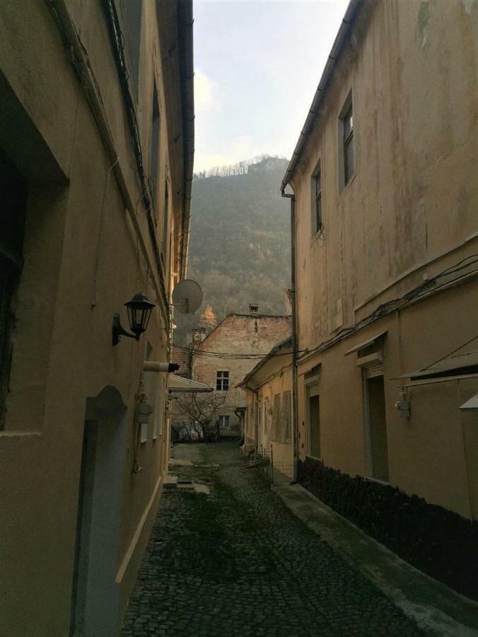 Appartement Quiboo à Braşov Extérieur photo